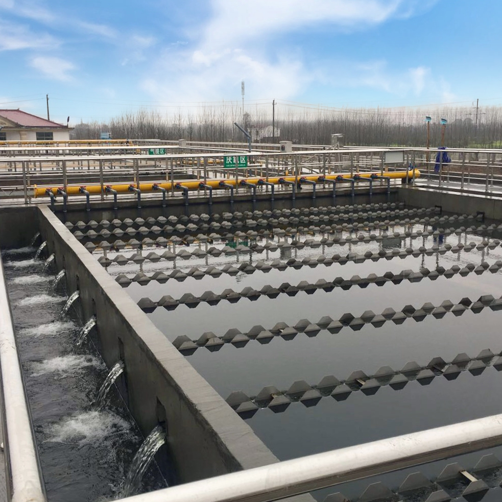 EBIS工藝在大通湖污水處理廠提質(zhì)擴容改造項目成功應(yīng)用